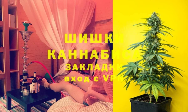 СК Михайловск