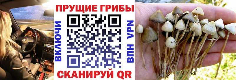 Галлюциногенные грибы мицелий  Касли 
