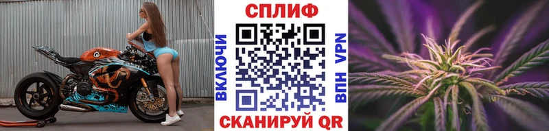 Канабис ГИДРОПОН что такое наркотик ОМГ ОМГ зеркало Касли